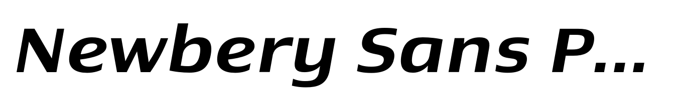Newbery Sans Pro Xp Medium Italic